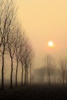 Luci di pianura