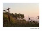 L'avamposto