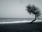 Il mare d'inverno