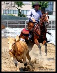Rodeo