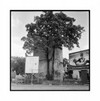 Milano, 2010