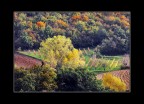 Colori d'Ottobre