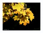 Autunno