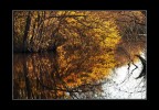 Specchio...d'acqua