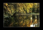 Ottobre nel bosco
