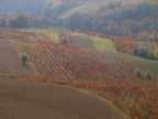 dolci colline