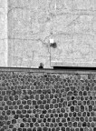 Composizione due dimensioni