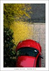 Autunno urbano