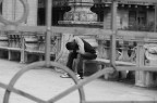 uno scatto al volo senza nessuna pretesa....