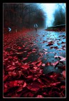pedalare nel rosso