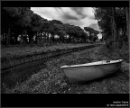 :: CECINA...[01-05]
