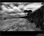 :: Cecina...[01-06]