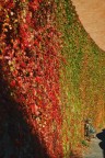 Autunno Urbano