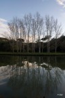 Alberi