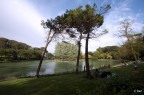 Villa Ada