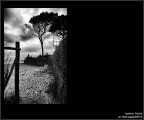 :: Cecina...[01-07]