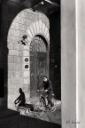 05112010-L1000616