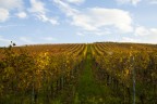 Autunno 2