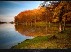 Calmness