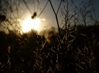 1/2000, f/8, ISO 100. Pentax K20D.