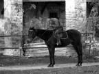&quot;L'uomo che sussurrava ai cavalli&quot;