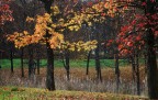 autunno 2010