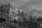 Semplice BW