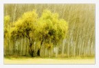 sotto l'occhio dei grandi