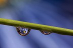 Lente d'acqua