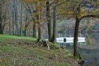 quiete sul lago
