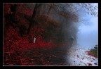 fatica nella nebbia