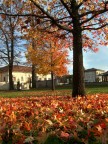 I colori dell'Autunno