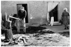 coccodrillo (ri) 2010 - fuji neopan 400