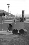 Ai giardinetti