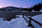 Purple and blue