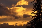 Tornavo a casa e c'era questo cielo dai colori intensi e davvero caldi, sono rientrato, ho preso la mia Canon e, velocissimo prima che fosse troppo tardi, sono sceso a fotografare questo spettacolo.