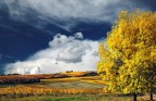 Colori