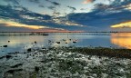 Laguna H