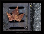 Autunno urbano