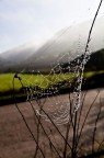 perle d'acqua