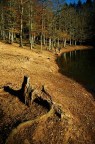 domenica al lago..