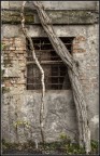 istinto