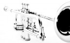Trumpet HighKey Trumpet HighKey