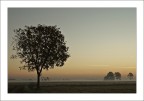 Colori di un mattino