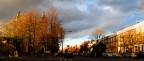 Adoro gli incroci, le strade, le persone che passeggiano quasi inosservate. Soprattutto se il tutto  colorato di giallo e rosso mattone. I colori dell'autunno.