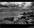 :: Cecina...[01-22]