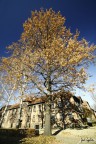 Autumn in Krakov