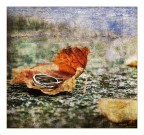 Autumn promises