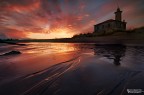 Bibione Red Passion