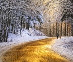 La Strada D'Oro